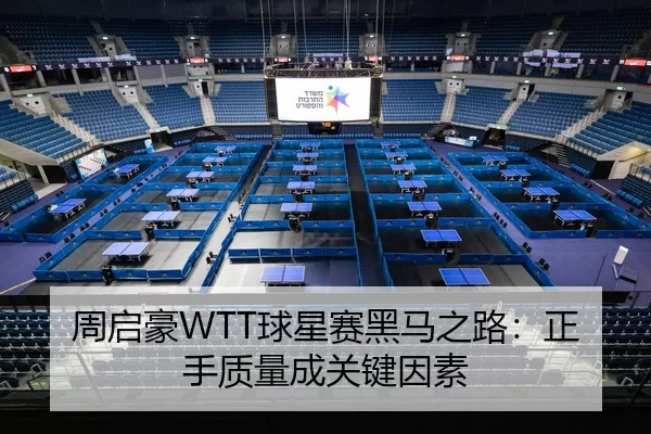zhou-qi-hao-qiu-xing-sai-hei-ma-zhi-lu-zheng-shou-zhi-liang-cheng-guan-jian-yin-su-2-223.jpg