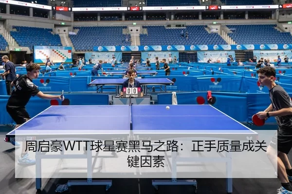 zhou-qi-hao-qiu-xing-sai-hei-ma-zhi-lu-zheng-shou-zhi-liang-cheng-guan-jian-yin-su-3-412.jpg