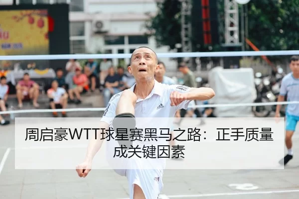 周启豪WTT球星赛黑马之路：正手质量成关键因素